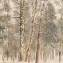 Artwork title: Winter landscape (private collection). Artist: Anatoly Dashko